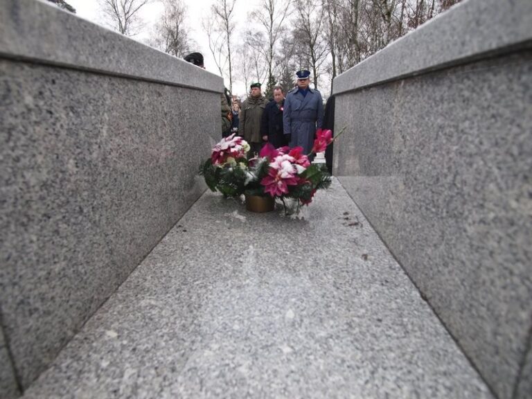 Uroczysty ponowny pochówek uczestników powstania wielkopolskiego 1918-1919 i ich rodzin w kolumbarium na Junikowie; 27.12.2014 r. Fot. epoznan.pl.